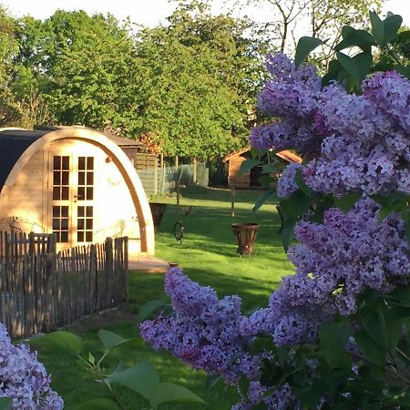 Het Koningshofje Bed & Breakfast Pelt ภายนอก รูปภาพ