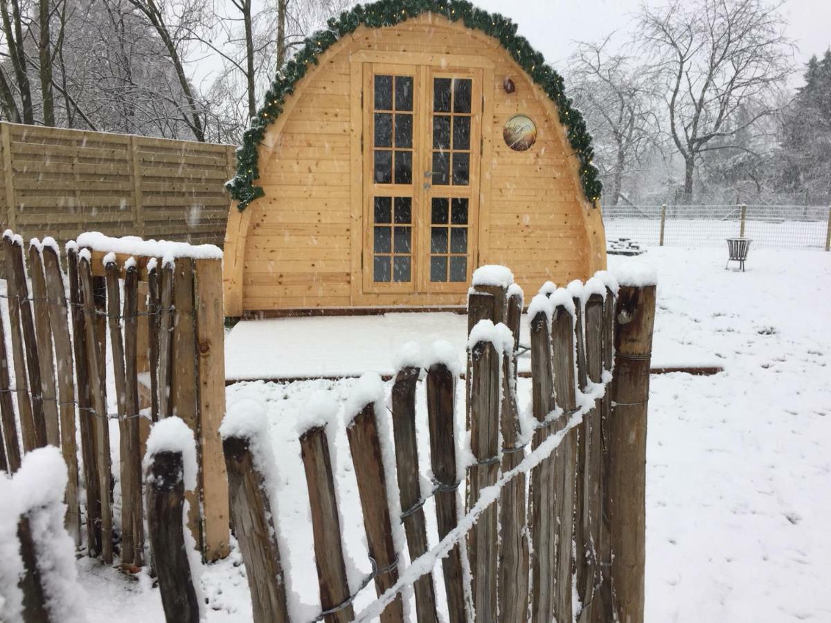 Het Koningshofje Bed & Breakfast Pelt ภายนอก รูปภาพ