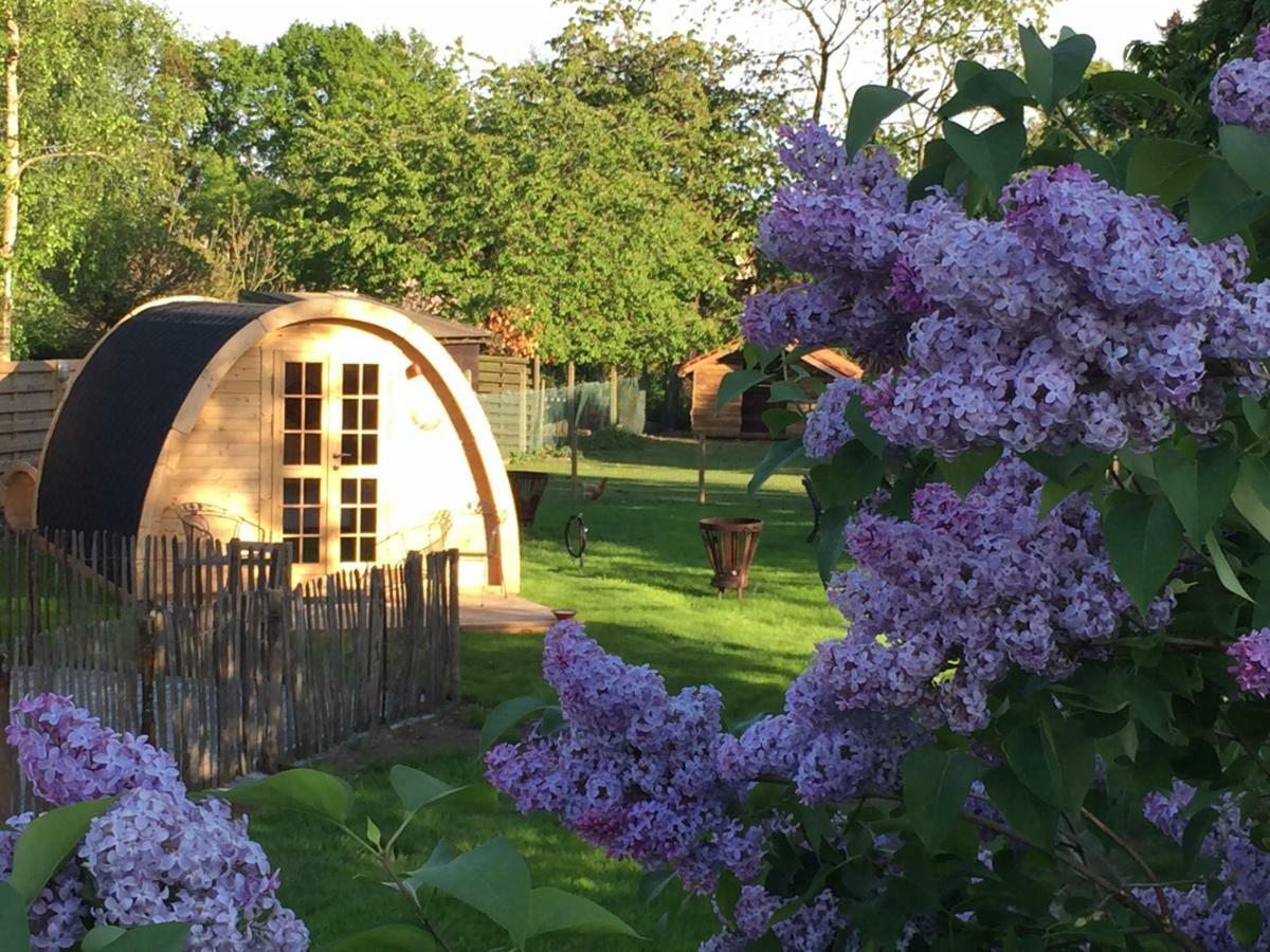 Het Koningshofje Bed & Breakfast Pelt ภายนอก รูปภาพ