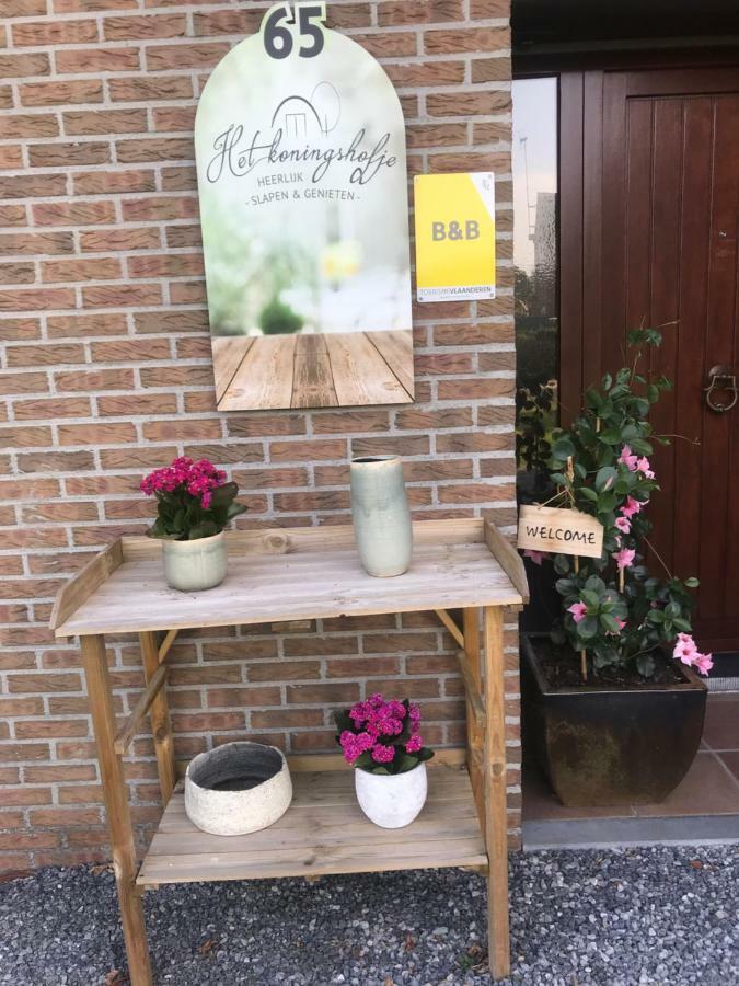 Het Koningshofje Bed & Breakfast Pelt ภายนอก รูปภาพ